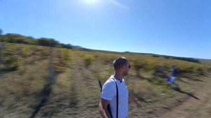 Виноградники Золотой балки или где в окрестностях Севастополя грибы