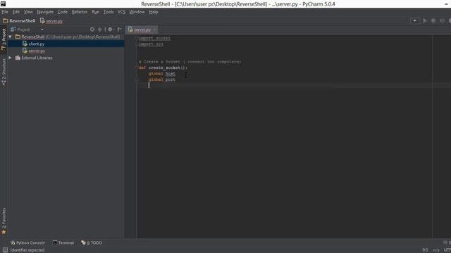 Python Network Programming 2 - Creating a Socket ( Socket Programming )