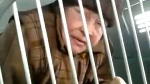 Пьяную бабулю менты взяли.Ржач.Смотреть ВСЕМ!!!
