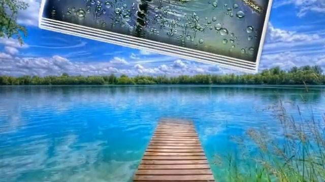 Лебедь птица - символ верности..... смотреть онлайн