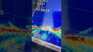 Паноптикс. Утро окунь спит.