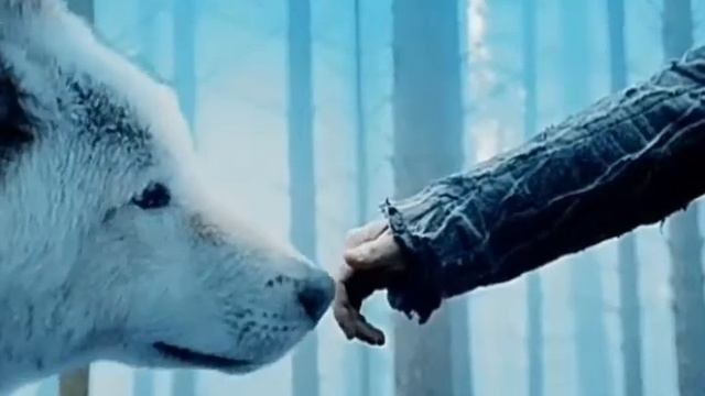 The Wolf Who Cried Mink