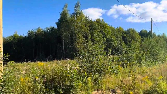 5 км до Череповца. Деревня юрьевец. Квадратный участок 15 соток в продаже. смотреть онлайн