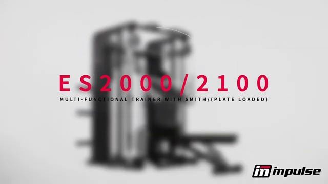 Многофункциональный силовой комплекс AeroFit ENCORE ES2100 смотреть онлайн