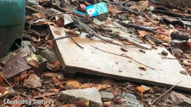 САМАЯ ОПАСНАЯ ЯЩЕРИЦА В МИРЕ/Animal Life ; Lizard and Frog смотреть онлайн