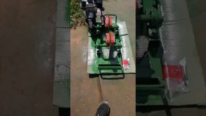 кедротряс 2022,сбор,шишки?