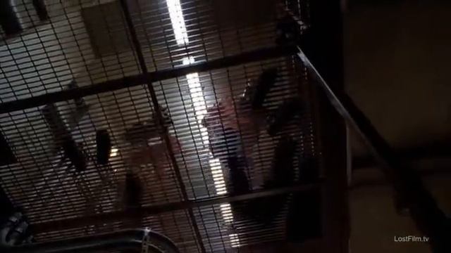 Во все тяжкие s04e13 смотреть онлайн