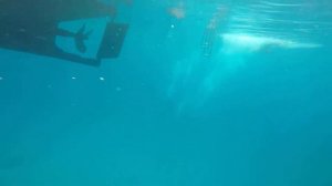 В поисках сокровищ на дне океана