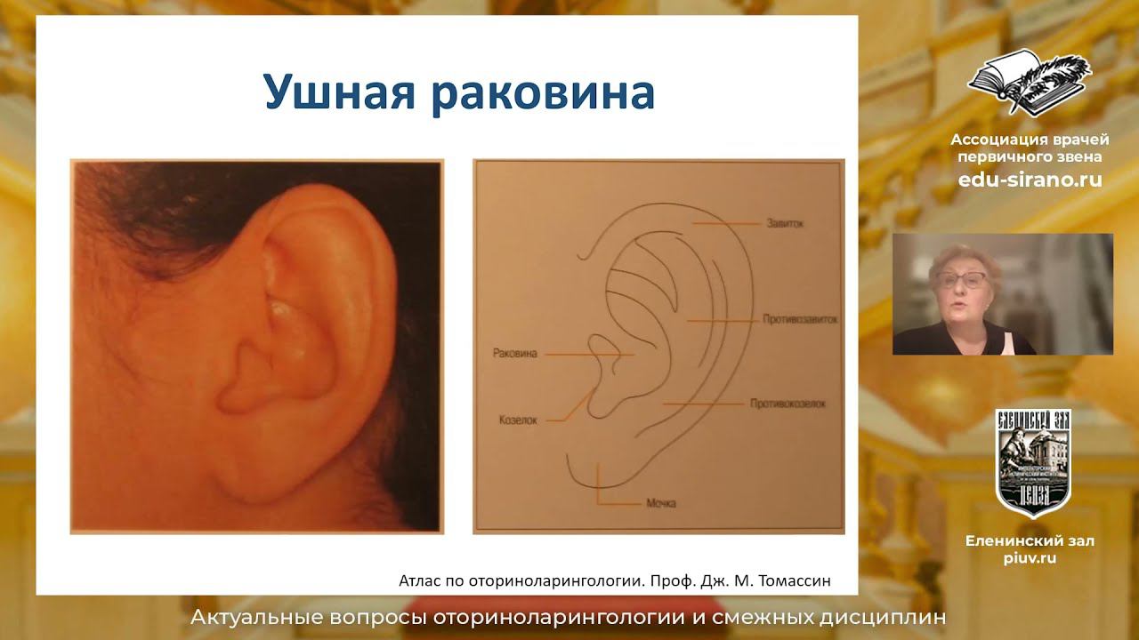 Научно-практическая конференция. Трансляция