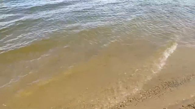 Озеро Сенно. Беларусь
