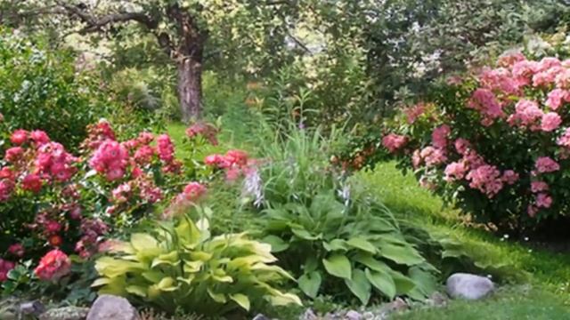 Красивые садовые композиции
