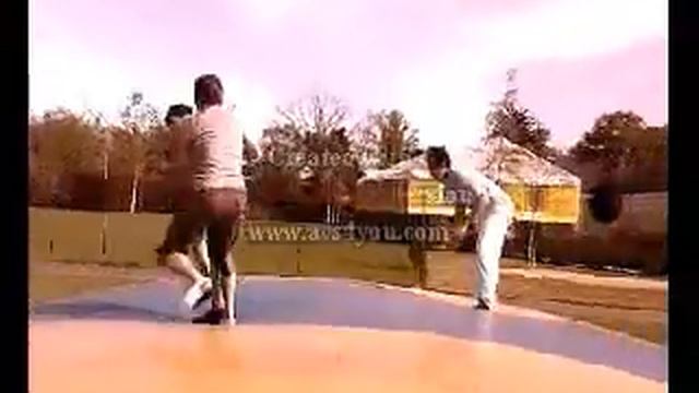 une ptite baston!!! смотреть онлайн