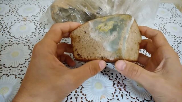 Отличие дрожжевого хлеба от хлеба на закваске (эксперимент)