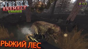 РЫЖИЙ ЛЕС | STALKER ANOMALY GAMMA | Серия 30