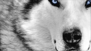 Now I'm Ready◄ Aggressive Hip Hop Instrumental Rap Beat 2016 (Free DL)