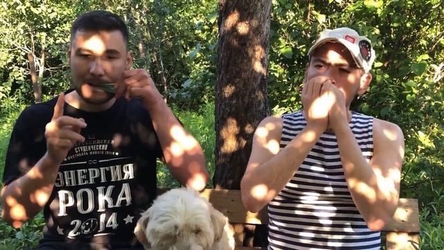 ГУБНАЯ ГАРМОШКА и ВАРГАН дуэт на коленке, фристайл и летний вайб смотреть онлайн