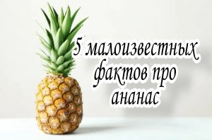 Малоизвестные факты про ананас