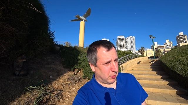 Сохранение номера бесплатной SIM-карты. смотреть онлайн