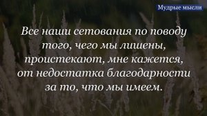 Высказывания про Жизнь! Цитаты и Афоризмы