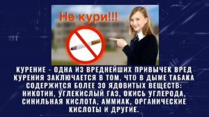 В будущее без вредных привычек