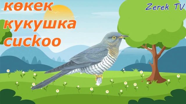 Звуки птиц!ҚҰСТАР Даусы/ПТИЦЫ на казахском!Sound of birds!Учим казахский! КУСТАР! Жануарлар әлемі смотреть онлайн
