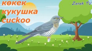 Звуки птиц!ҚҰСТАР Даусы/ПТИЦЫ на казахском!Sound of birds!Учим казахский! КУСТАР! Жануарлар әлемі