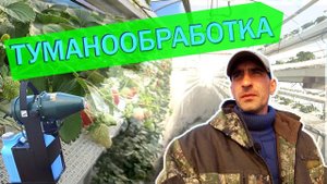 Тумано-генератор