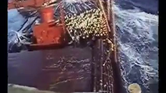 Морские волки большой крен лесовоза смотреть онлайн