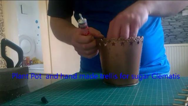 Plant pot and trellis for a sugar Clematis смотреть онлайн