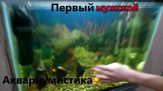Первый мужской!