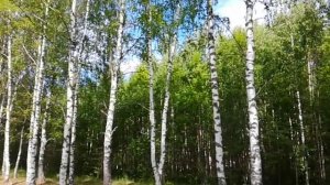 Китеж град Светлояр озеро нижегородская область(1)