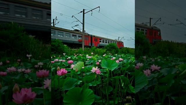 #приморскийкрай#природа#nature#Владивосток     Подборка самых лучших мест Приморского края .