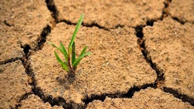 Всемирный день борьбы с опустыниванием и засухой (Харцызская центральная библиотека, Интернет-центр
