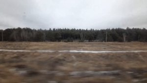 #550 #Ласточка #БелгородМосква  #moscow