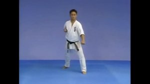 Ката Тайкёку соно Ни(Taikyoku Sono Ni)