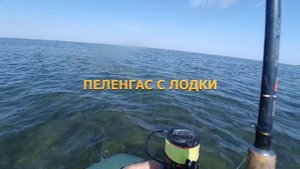 Рыбалка в Бердянске