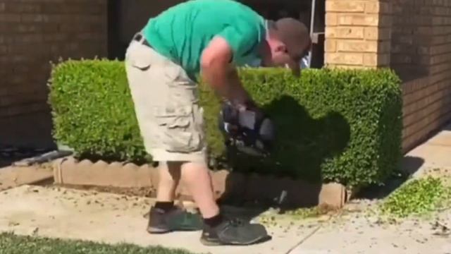 Trimming A Small Hedge (Stihl HS82R) смотреть онлайн