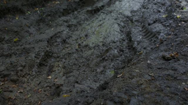 Гаврилова поляна - Ширяво смотреть онлайн