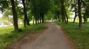 Лозовая Аллея липовых деревьев