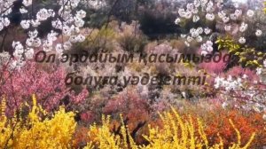 МАХЕР ЗЕЙН - АЛЛАҺУ АКБАР