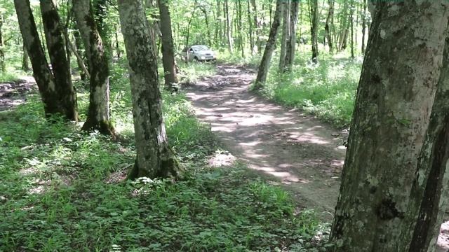 Кайрон Клан Краснодарского Края ДР 9 смотреть онлайн