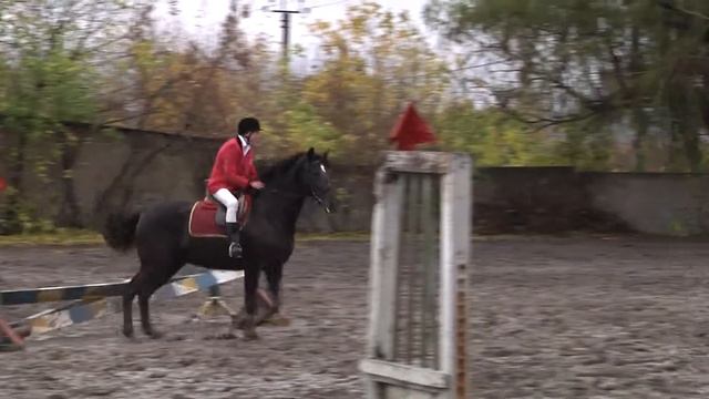 Татерсаль. Закрытие конкурного сезона. Высота 80 см. молодые лошади смотреть онлайн
