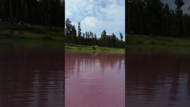 Малиновое озеро.  Алтайский край.