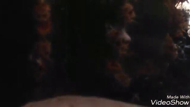 Кактус из семян часть1 смотреть онлайн