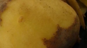 Картофельный сок при панкреатите