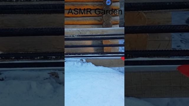 асмр звуки сада #Shorts