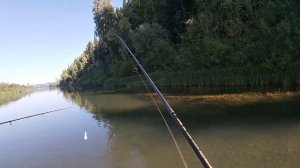 Рыбалка на мелководье/ Встреча с ГИМС/ Лодка с мотором - болотоходом