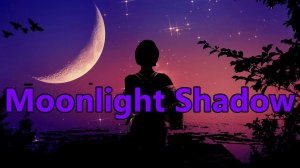 Mike Oldfield ft. Maggie Reilly – «Moonlight Shadow» AKAI GX F-91.