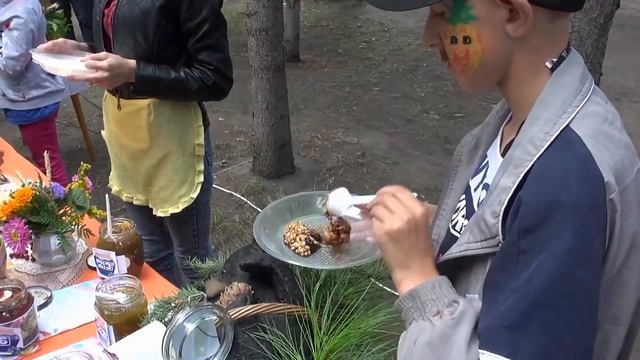 Фестивали Краснозерский район.mp4 смотреть онлайн