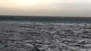 Тягун на море! Спасение мужчины от смерти.